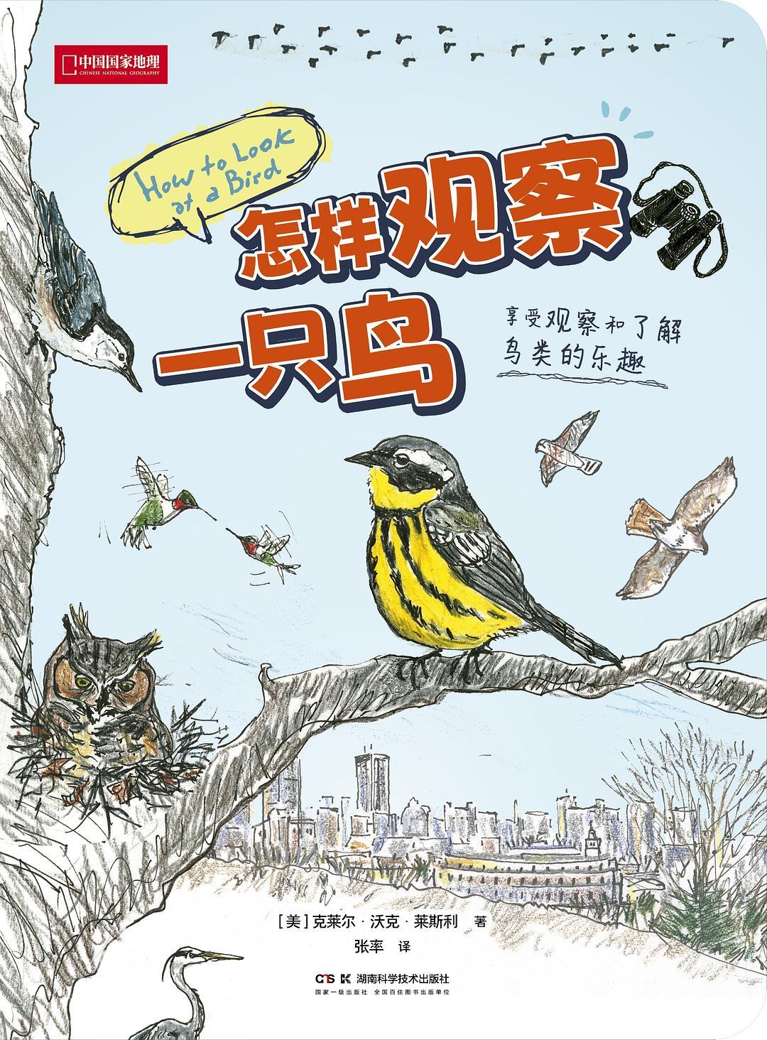 怎样观察一只鸟